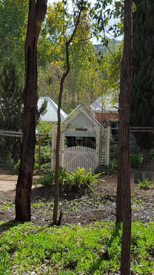 Redgum Hill Country Retreat Pensionat Balingup Eksteriør billede