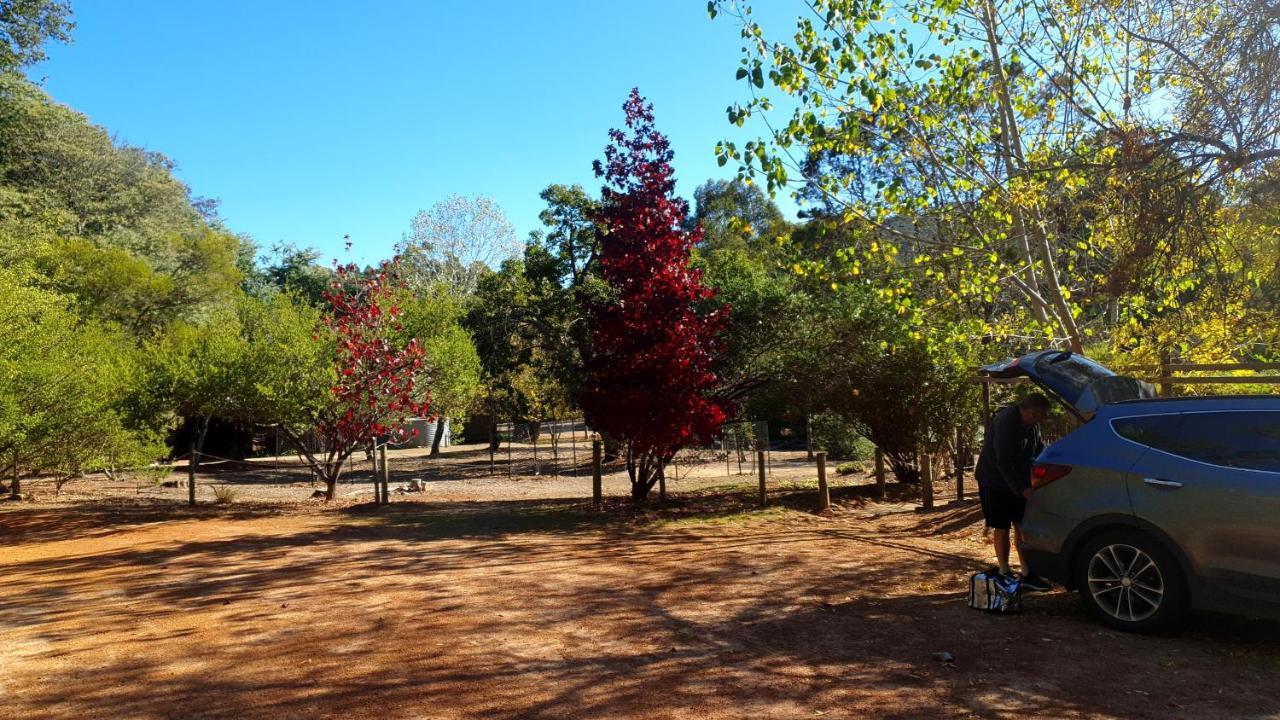 Redgum Hill Country Retreat Pensionat Balingup Eksteriør billede